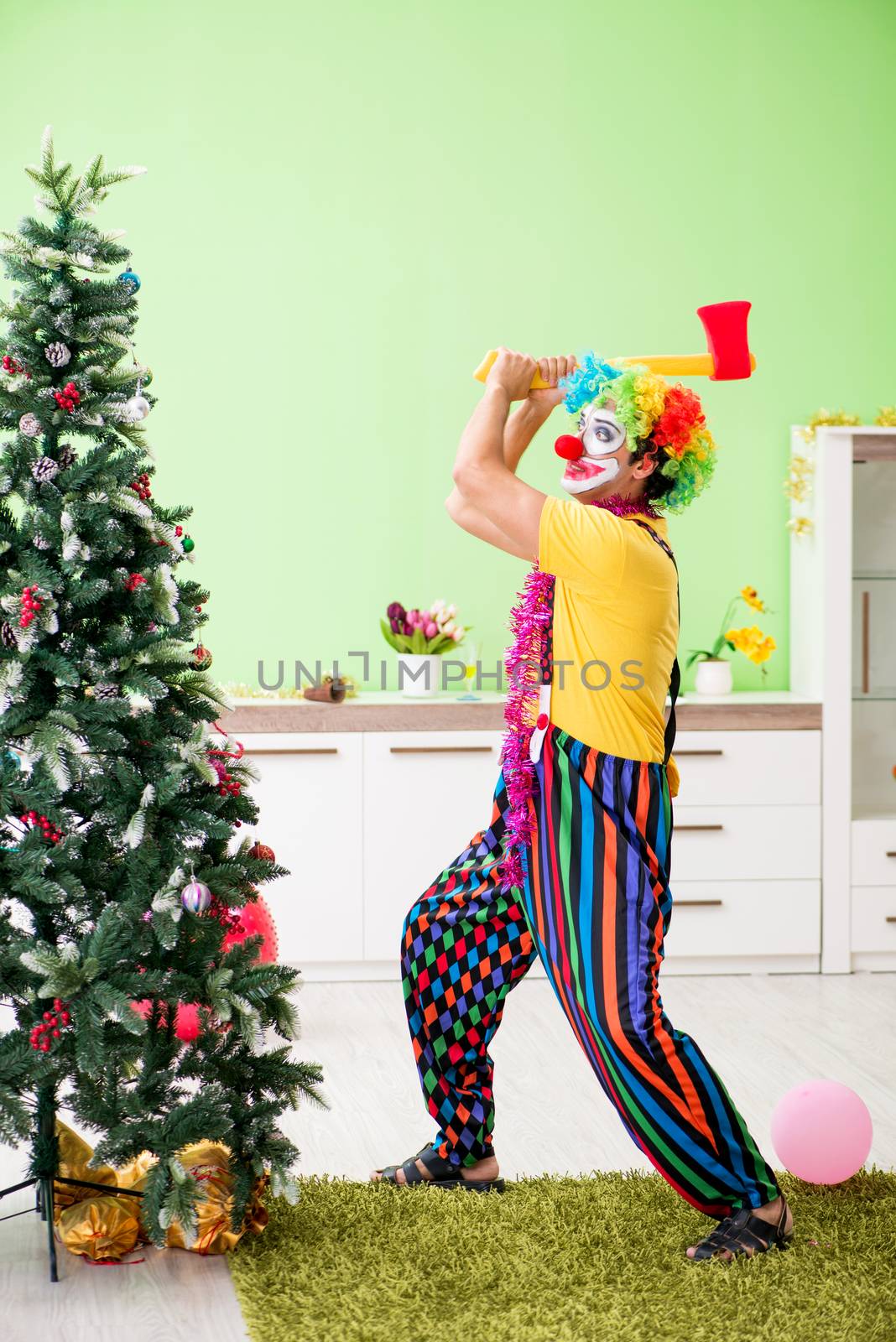 Funny clown in Christmas celebration concept 