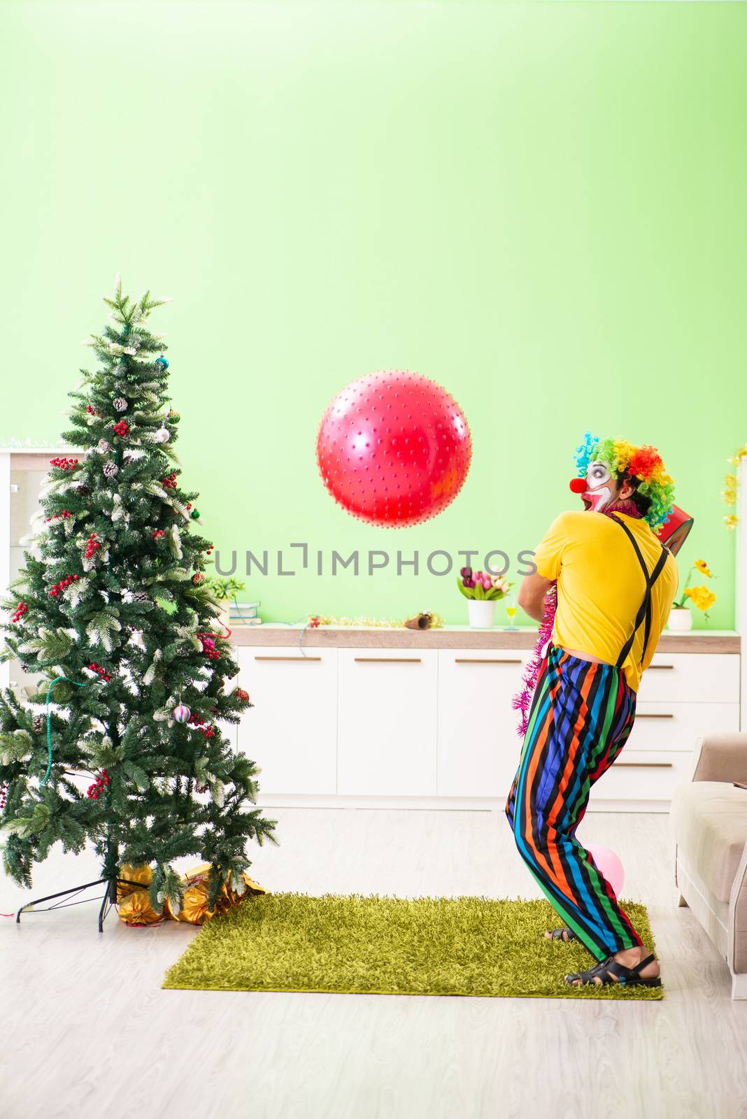 Funny clown in Christmas celebration concept 