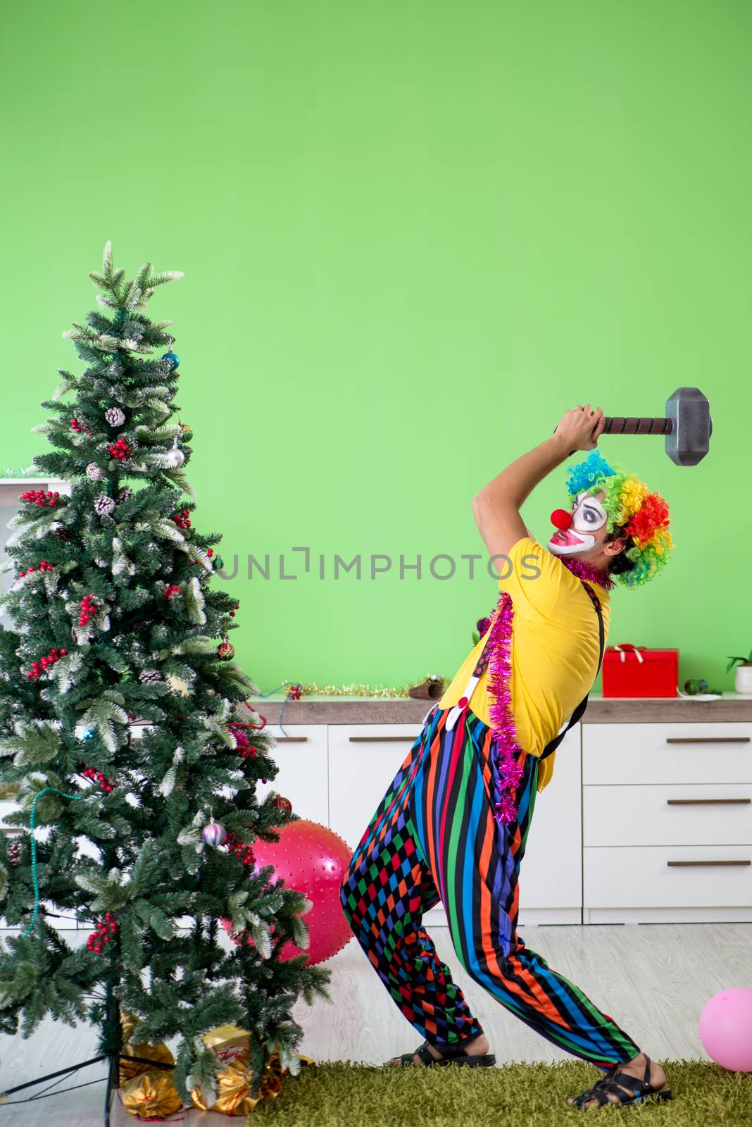 Funny clown in Christmas celebration concept 