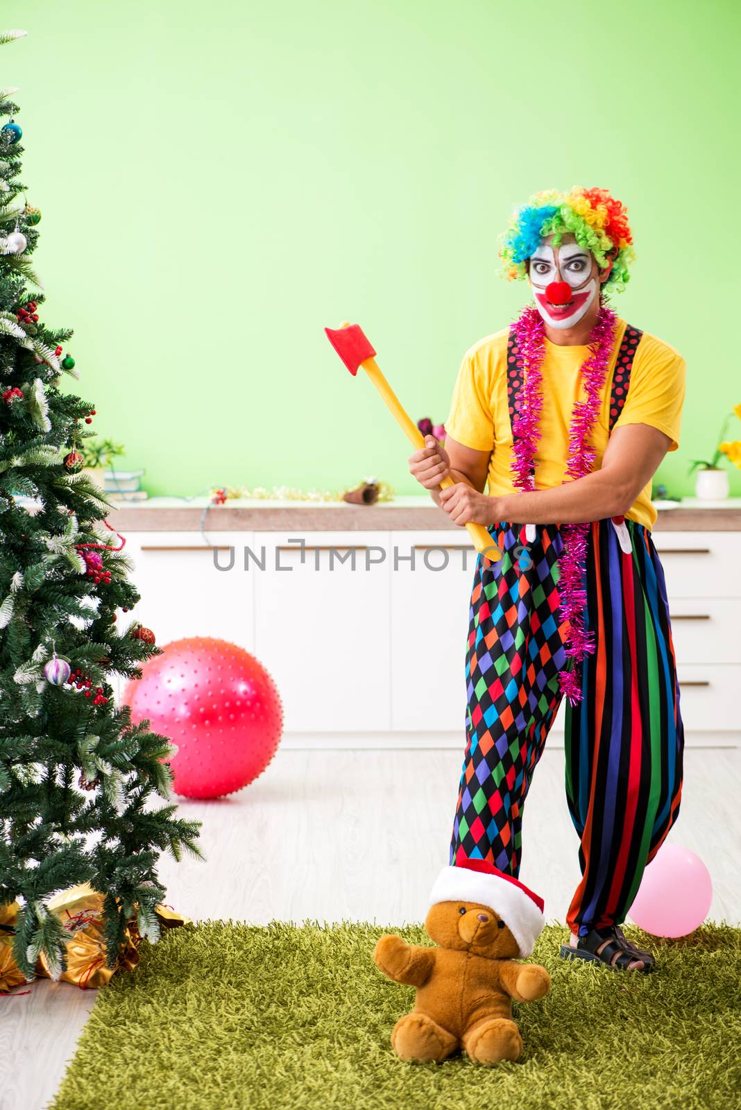 Funny clown in Christmas celebration concept  by Elnur