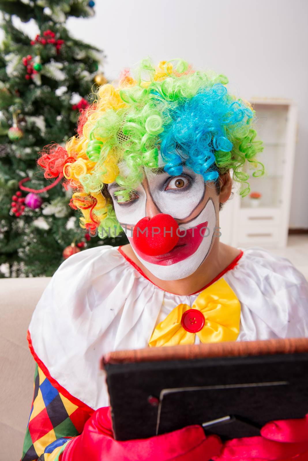 Funny clown in Christmas celebration concept  by Elnur