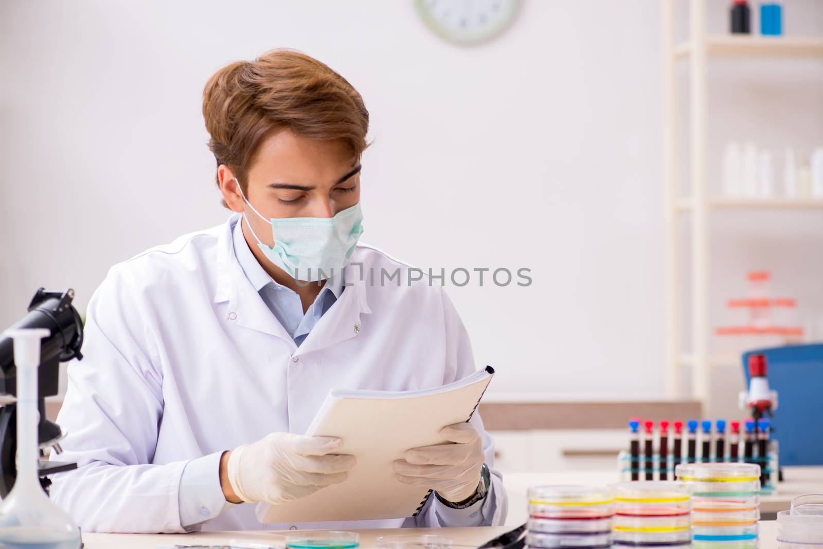 Young chemist working in the lab 