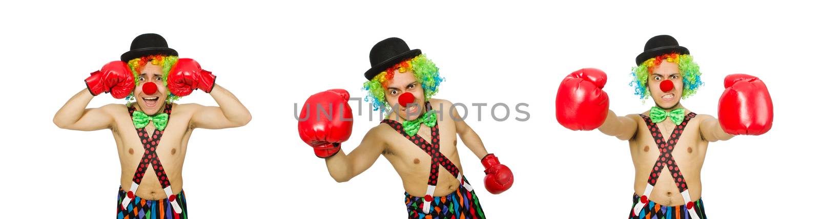 Clown with boxing gloves isolated on the white by Elnur