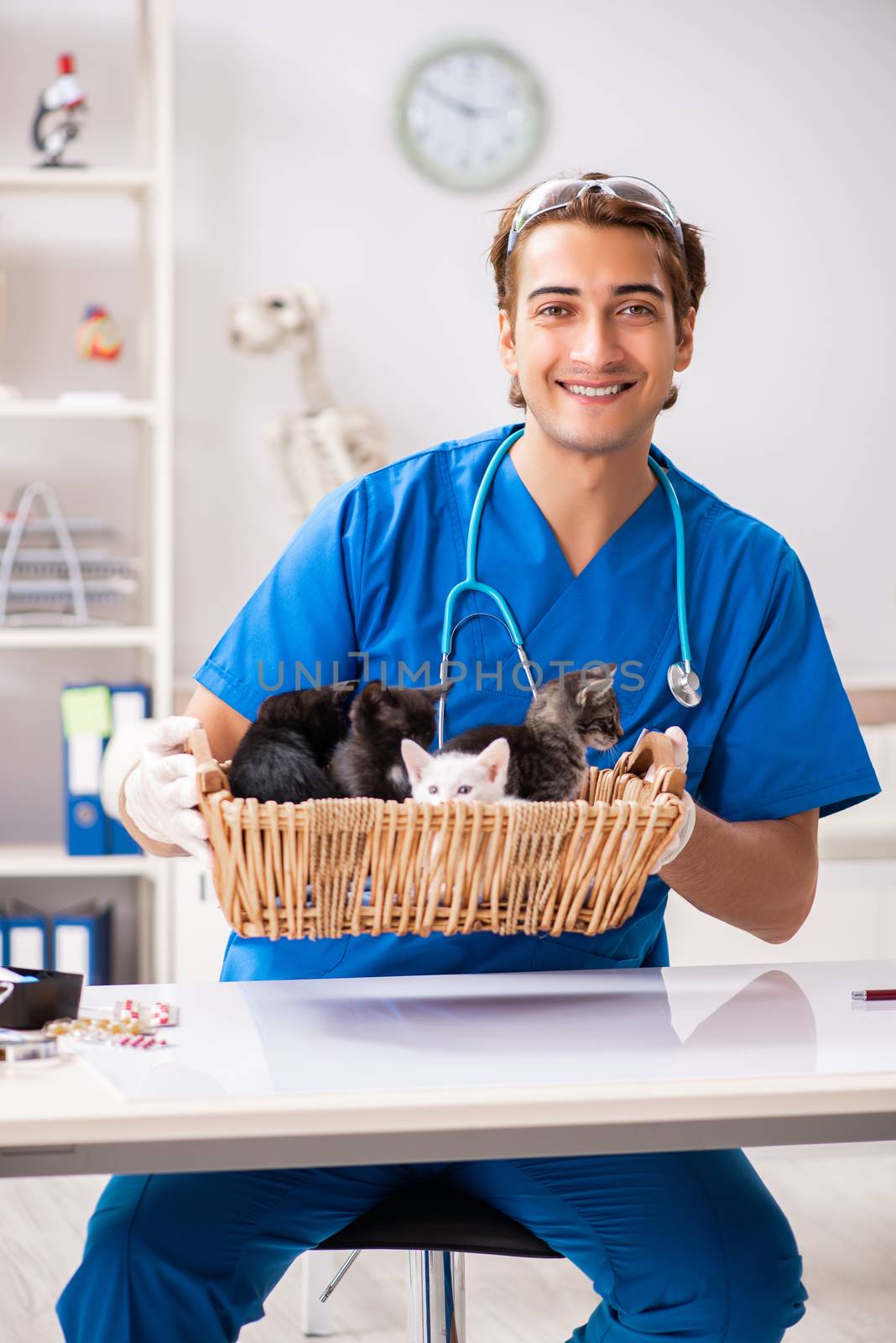 Vet doctor examining kittens in animal hospital by Elnur