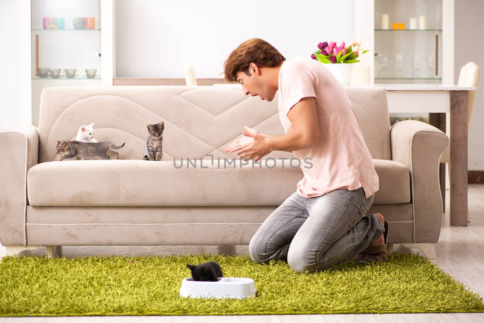 Young man playing with kitten at home
