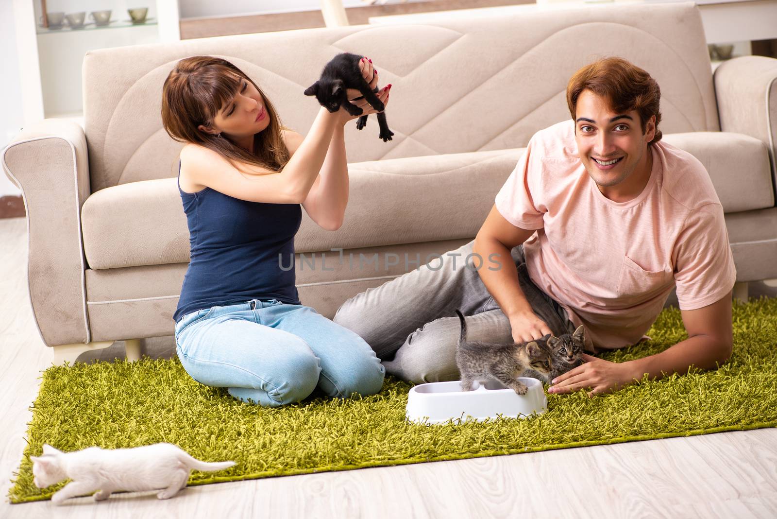 Young family with kitten playing at home