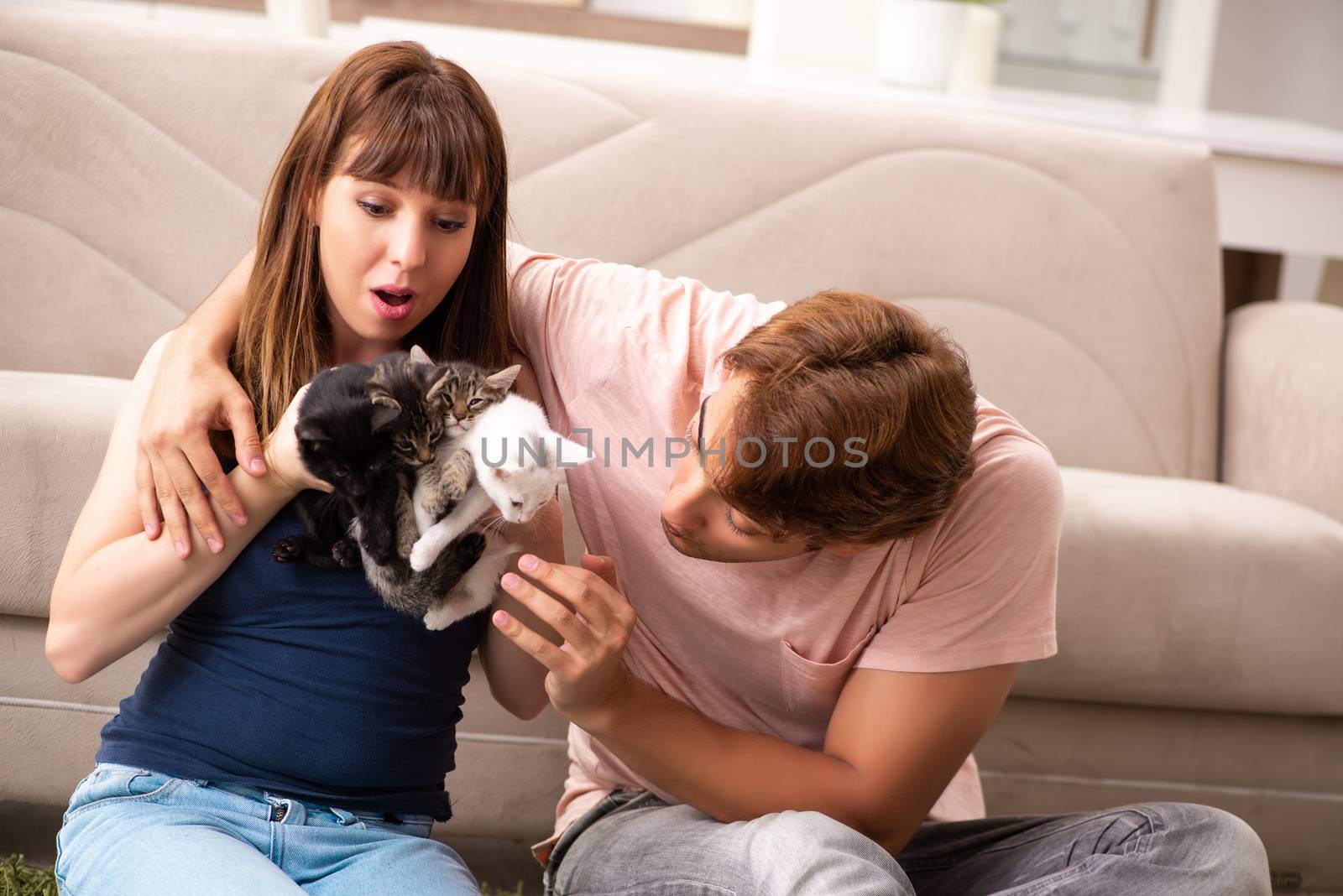 Young family with kitten playing at home