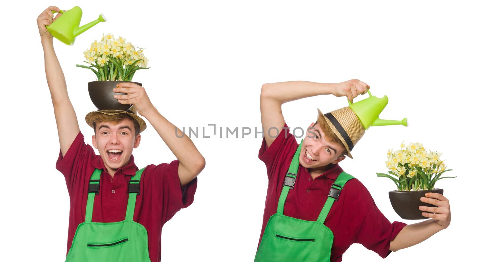 Young gardener with flower and pot isolated on white