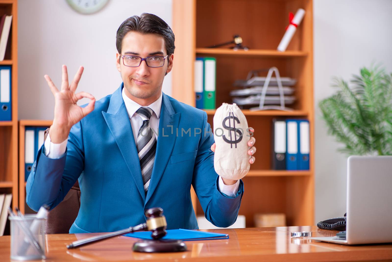 Lawyer working in the office