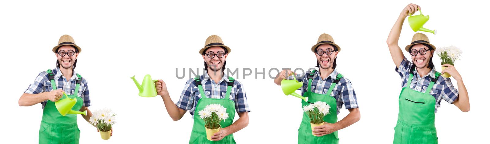 Funny gardener with watering can isolated on white by Elnur