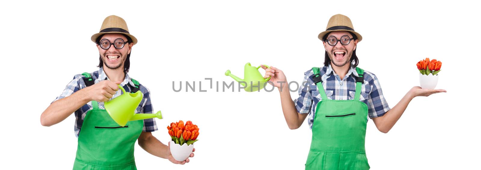 Young funny gardener with tulips and watering can isolated oin w by Elnur