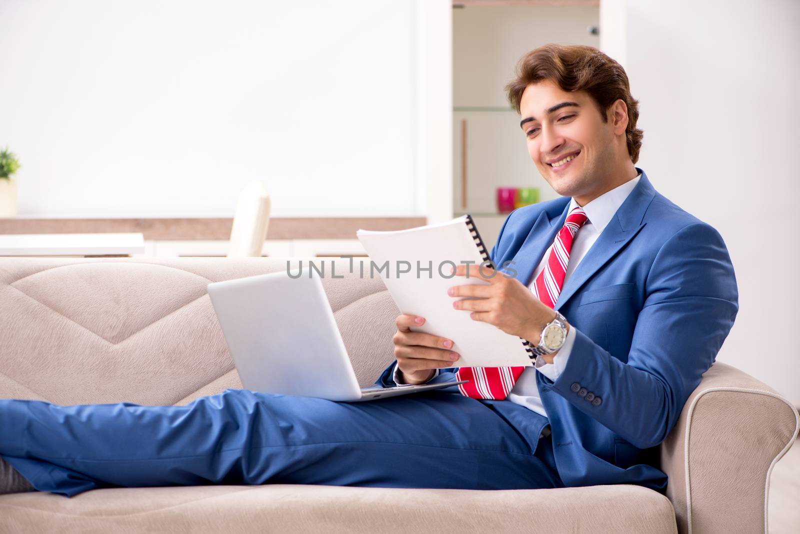 Young businessman working at home sitting on the sofa  