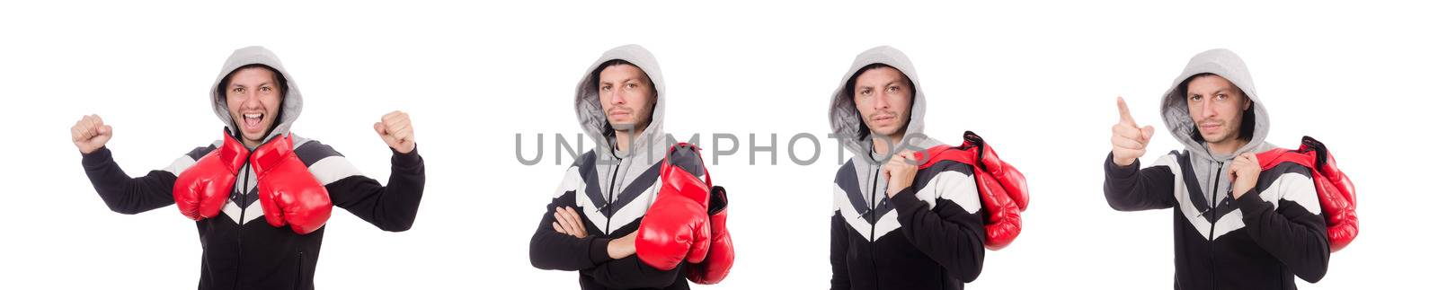 Funny boxer isolated on the white