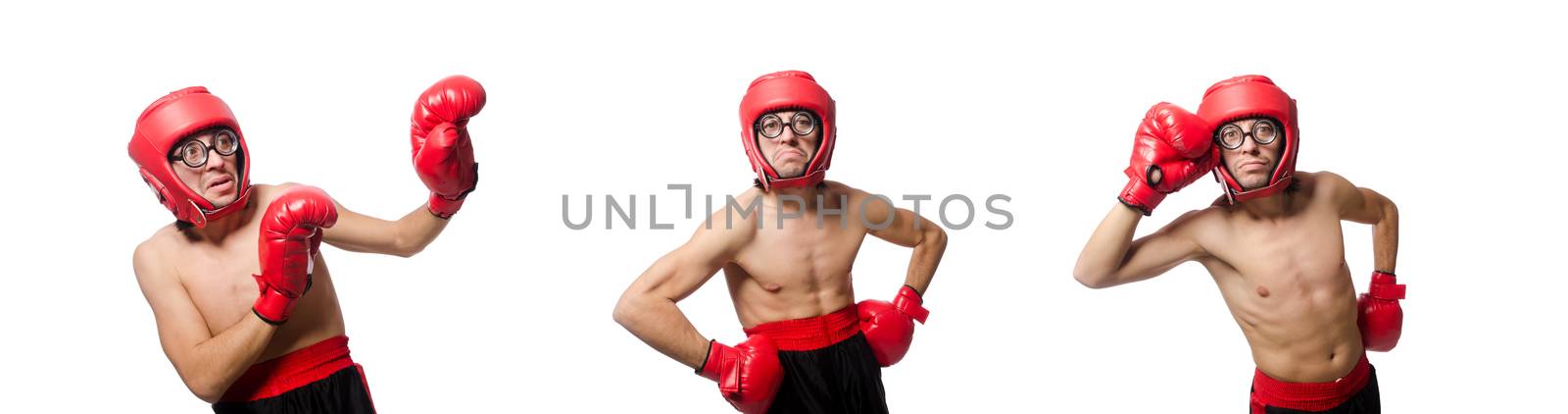 Funny boxer isolated on the white