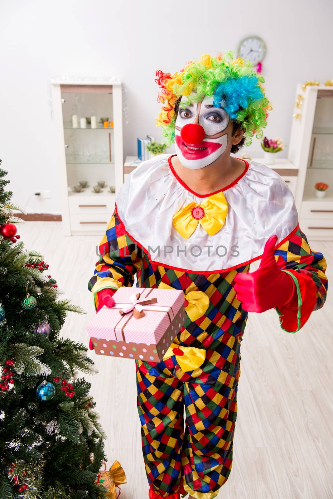 Funny clown in Christmas celebration concept 