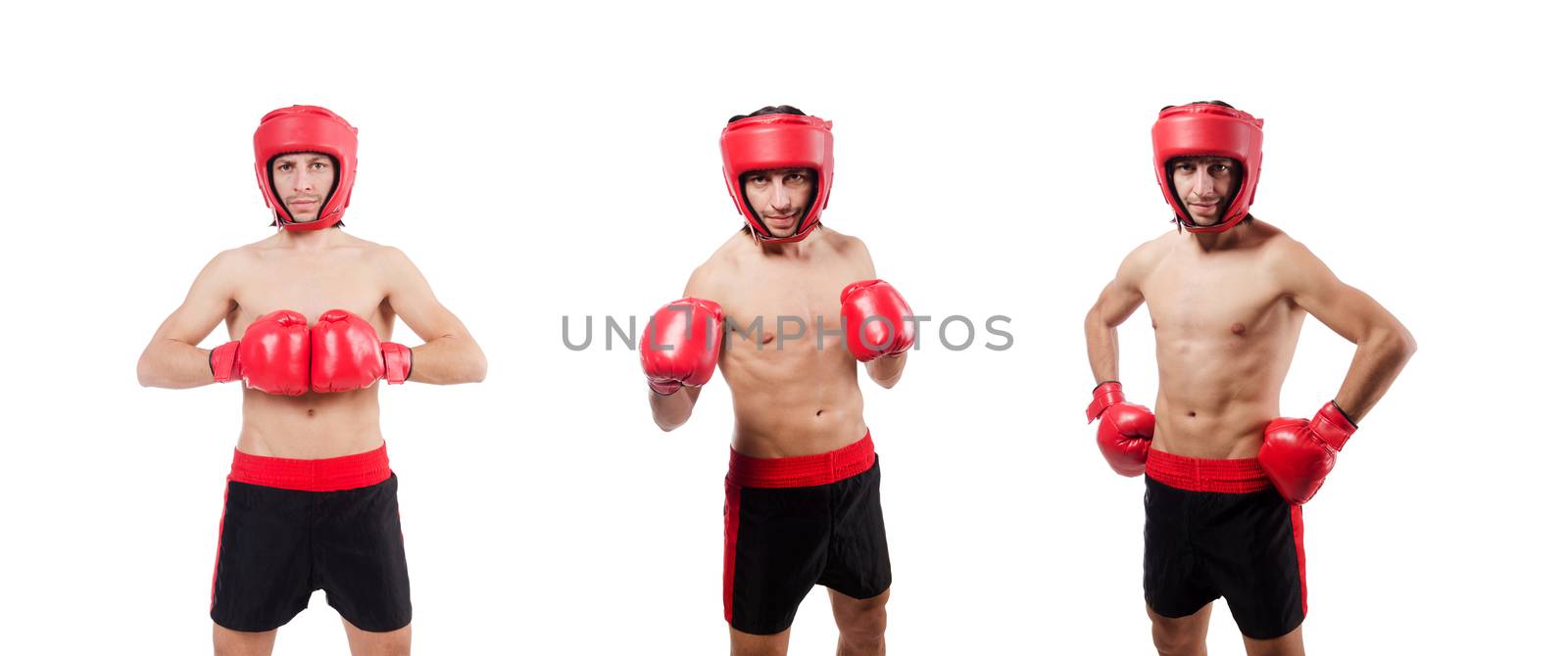 Funny boxer isolated on the white