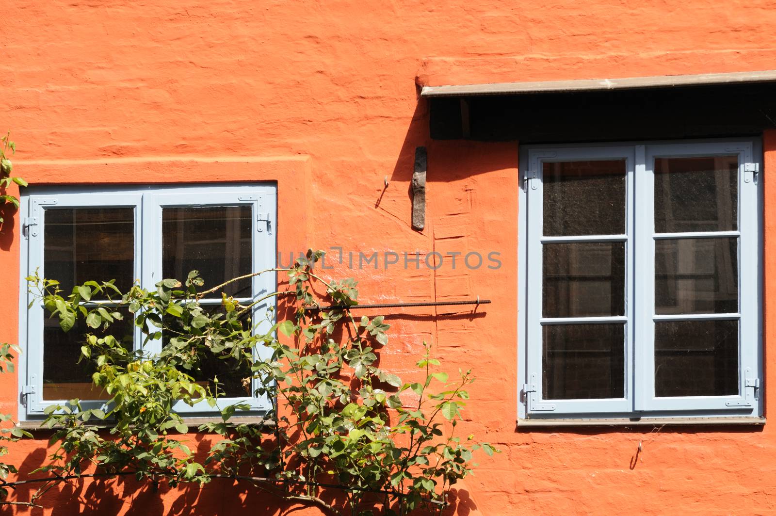 Orange wall of a house in Lueneburg, Lower Saxony, Germany.