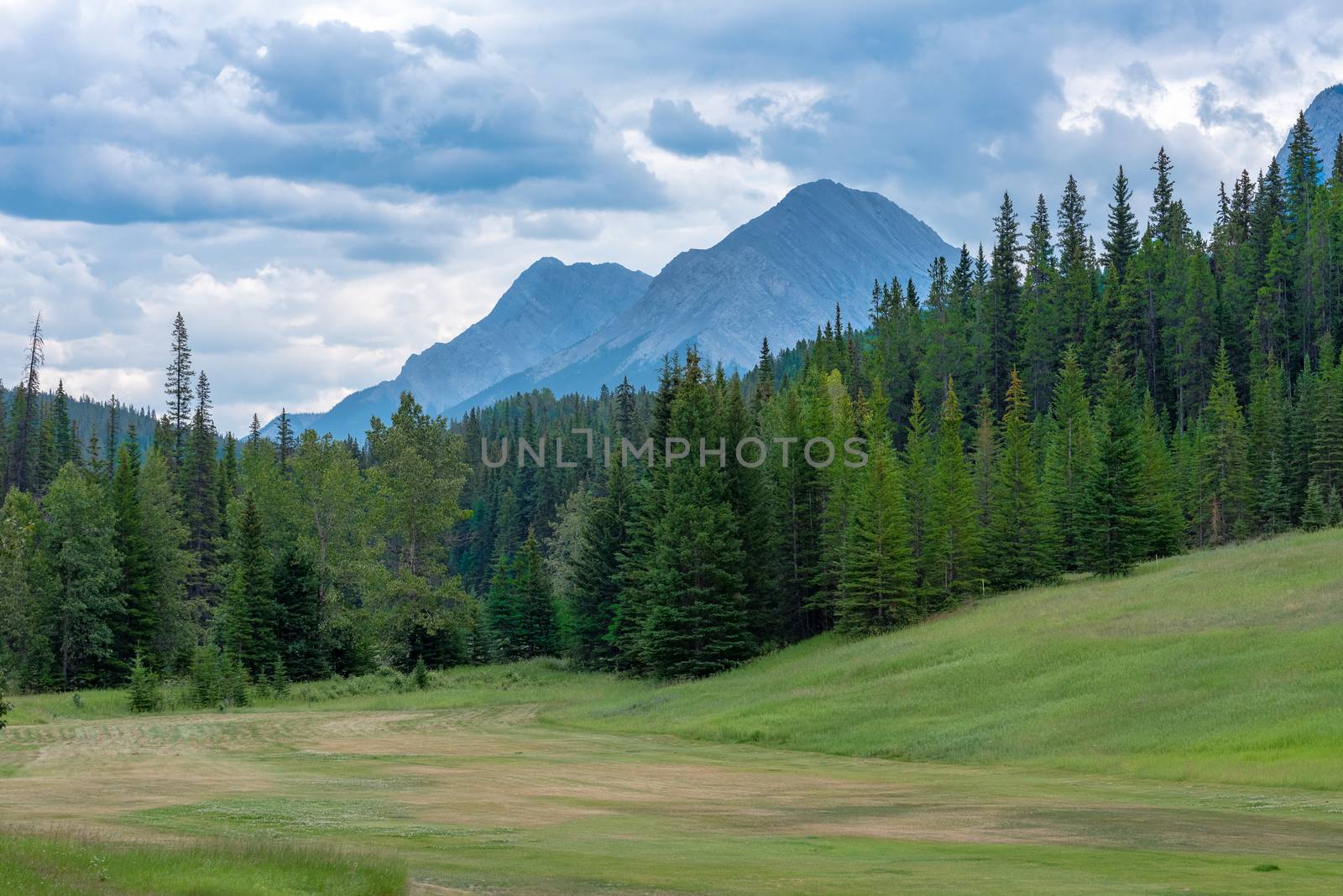 Photo of a clearing in the woods surrounded by trees with the Canadian Rockies in the background.