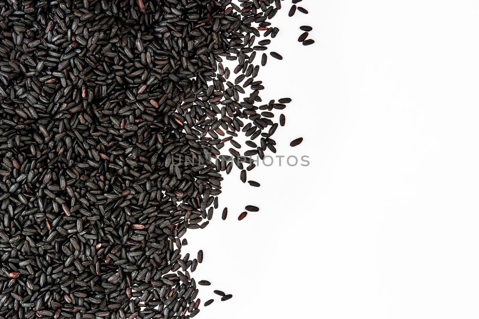 Black rice with copy space isolated on white background