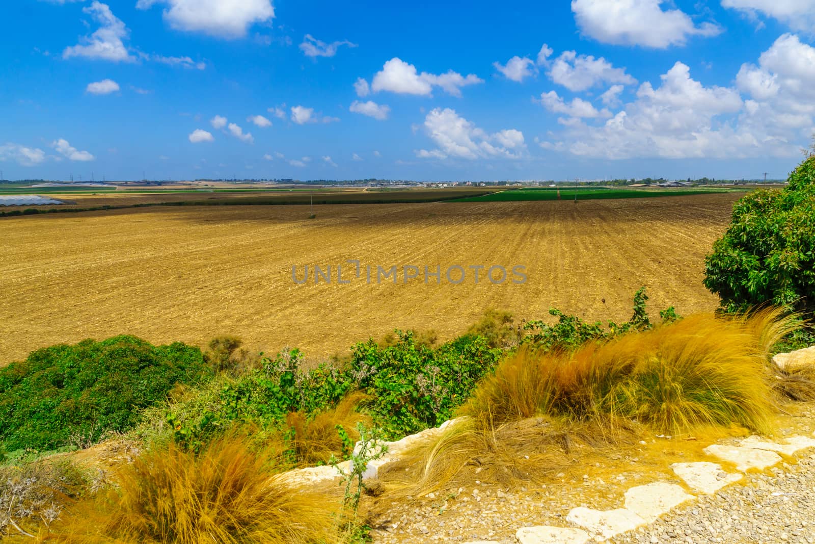 View of landscape and countryside of the Shafir valley (from Moshiko Rom lookout). Southern Israel