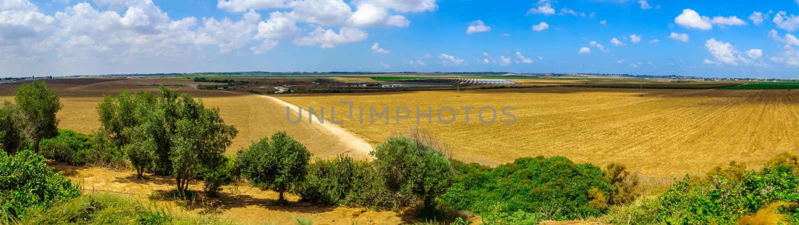 Panoramic view of landscape and countryside of the Shafir valley (from Moshiko Rom lookout). Southern Israel