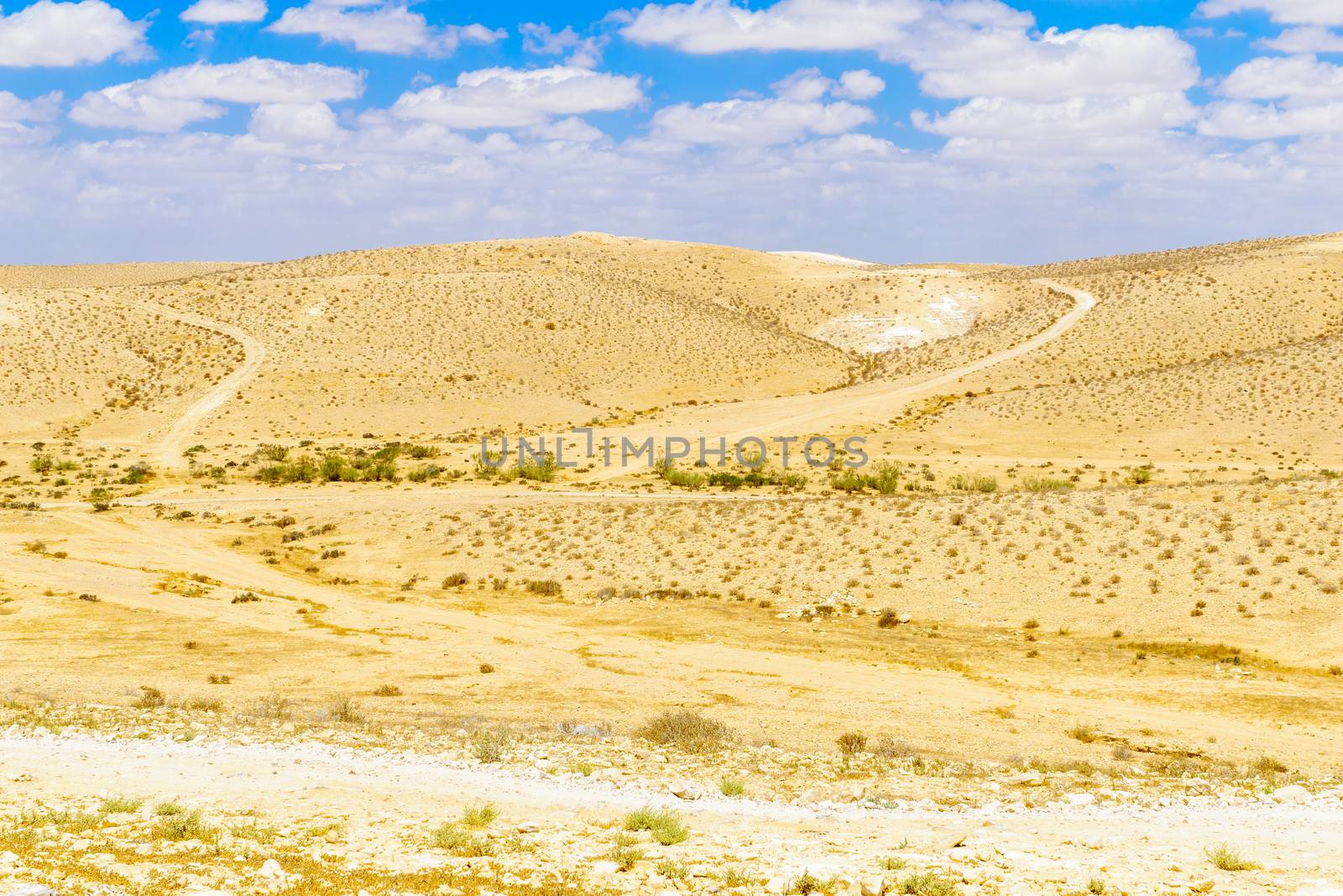 View of the Negev Desert, from Tali Lookout Point. Southern Israel