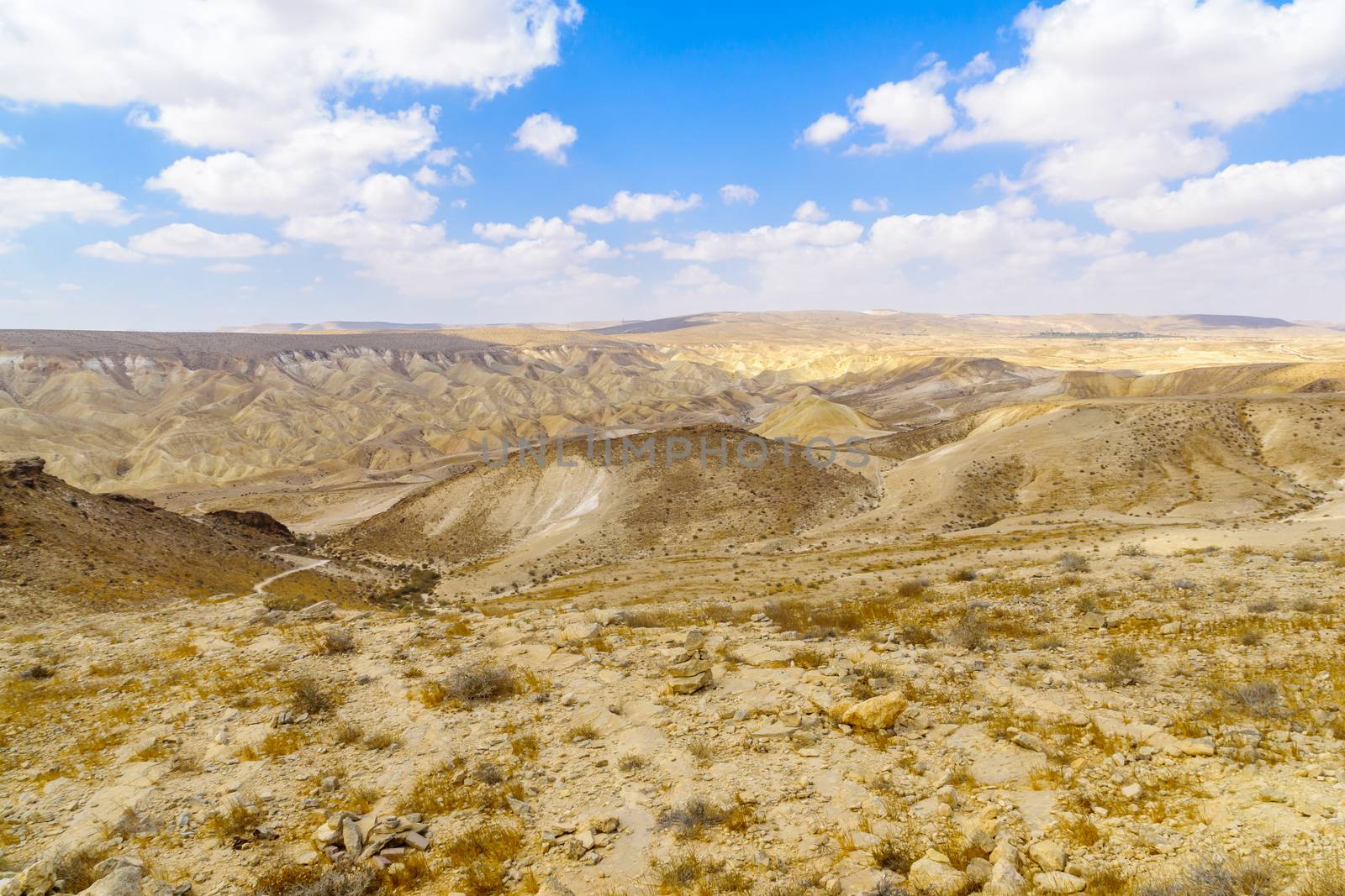 View of the Zin Valley in the Negev Desert. Southern Israel