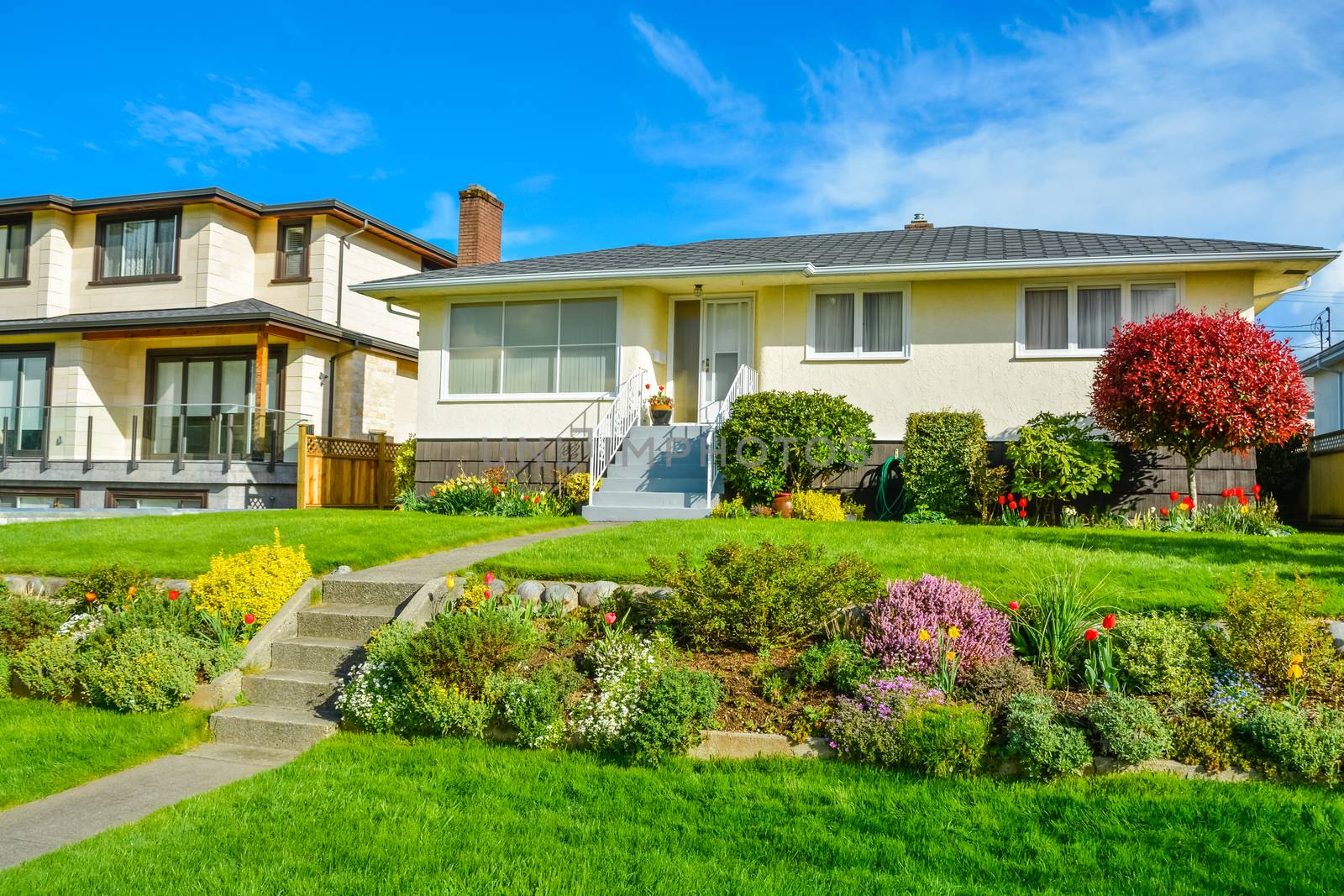 Average family residential house with landscaped front yard on blue sky background
