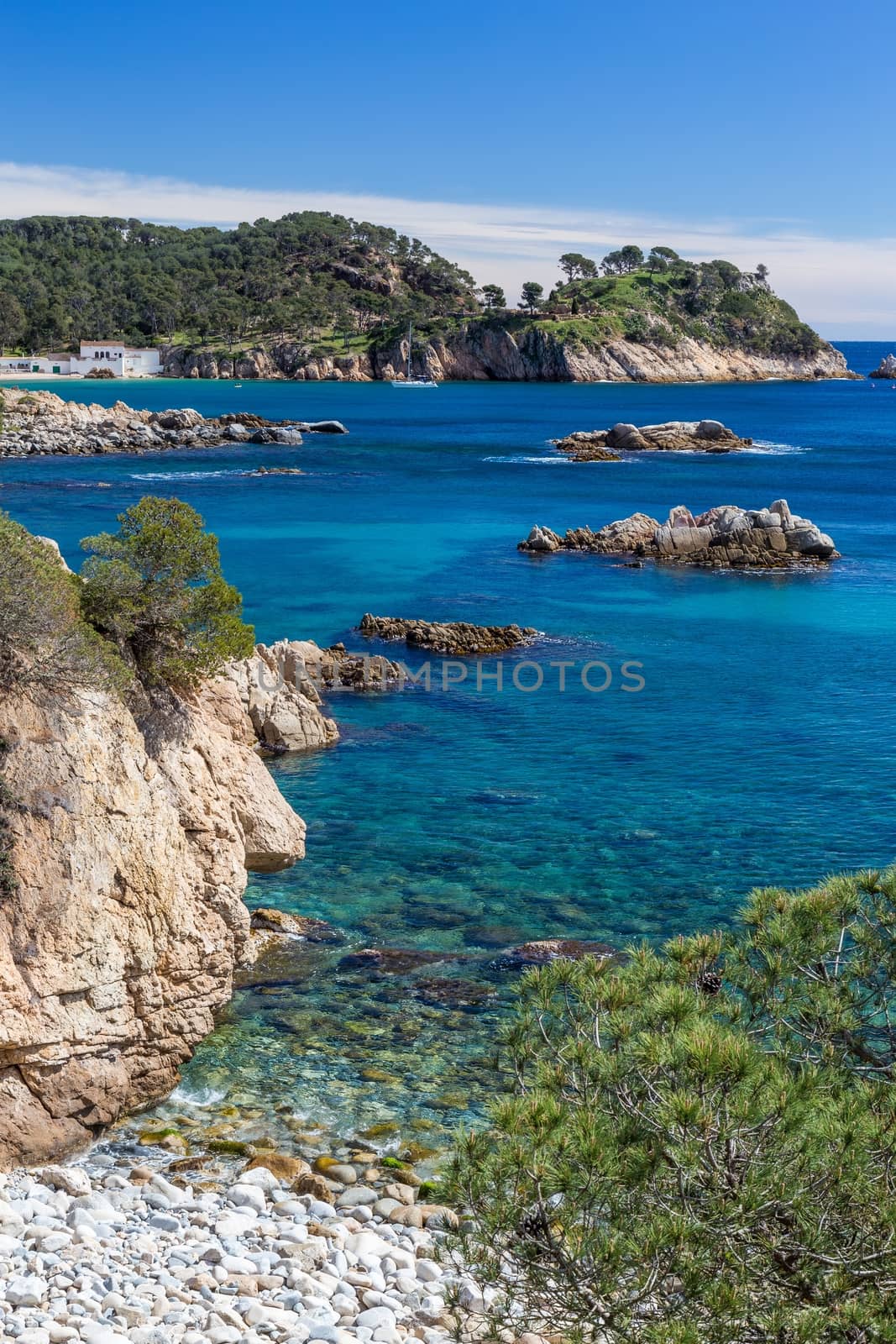 Detail of the Spanish coast at summer (Catalonia,Costa Brava) by Digoarpi