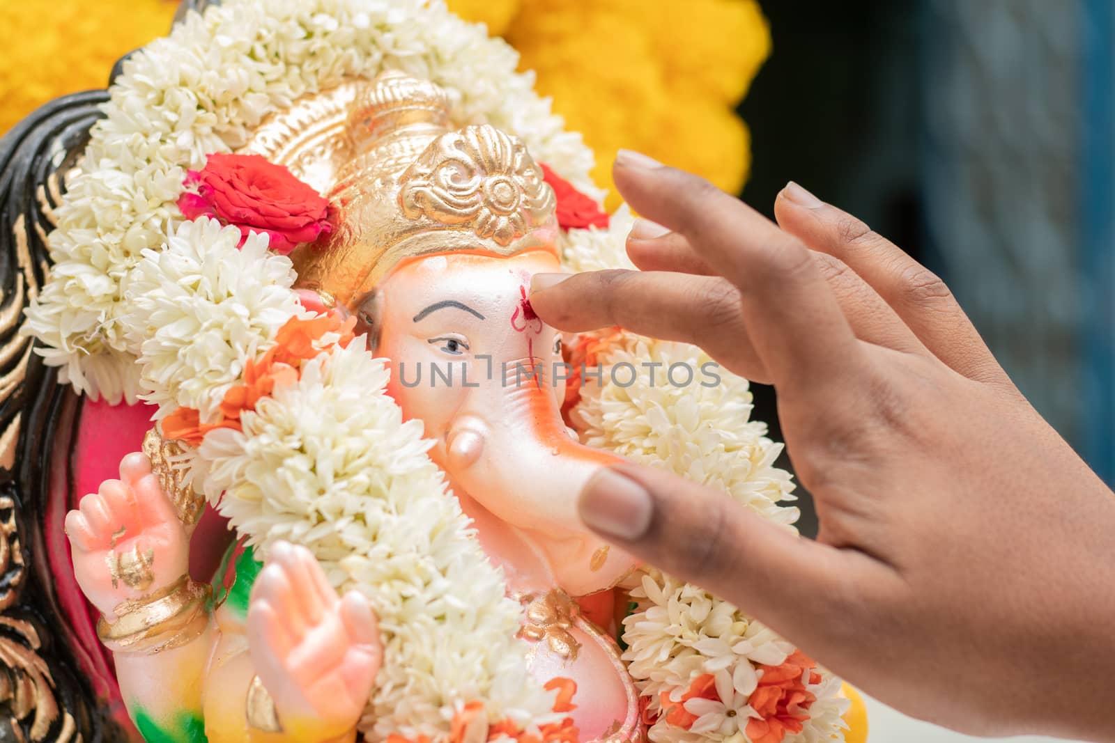 Closeup of hands applying Tilak or Kumkum to Lord Ganesha during Indian religious ganesha or vinayaka Chaturthi festival ceremony