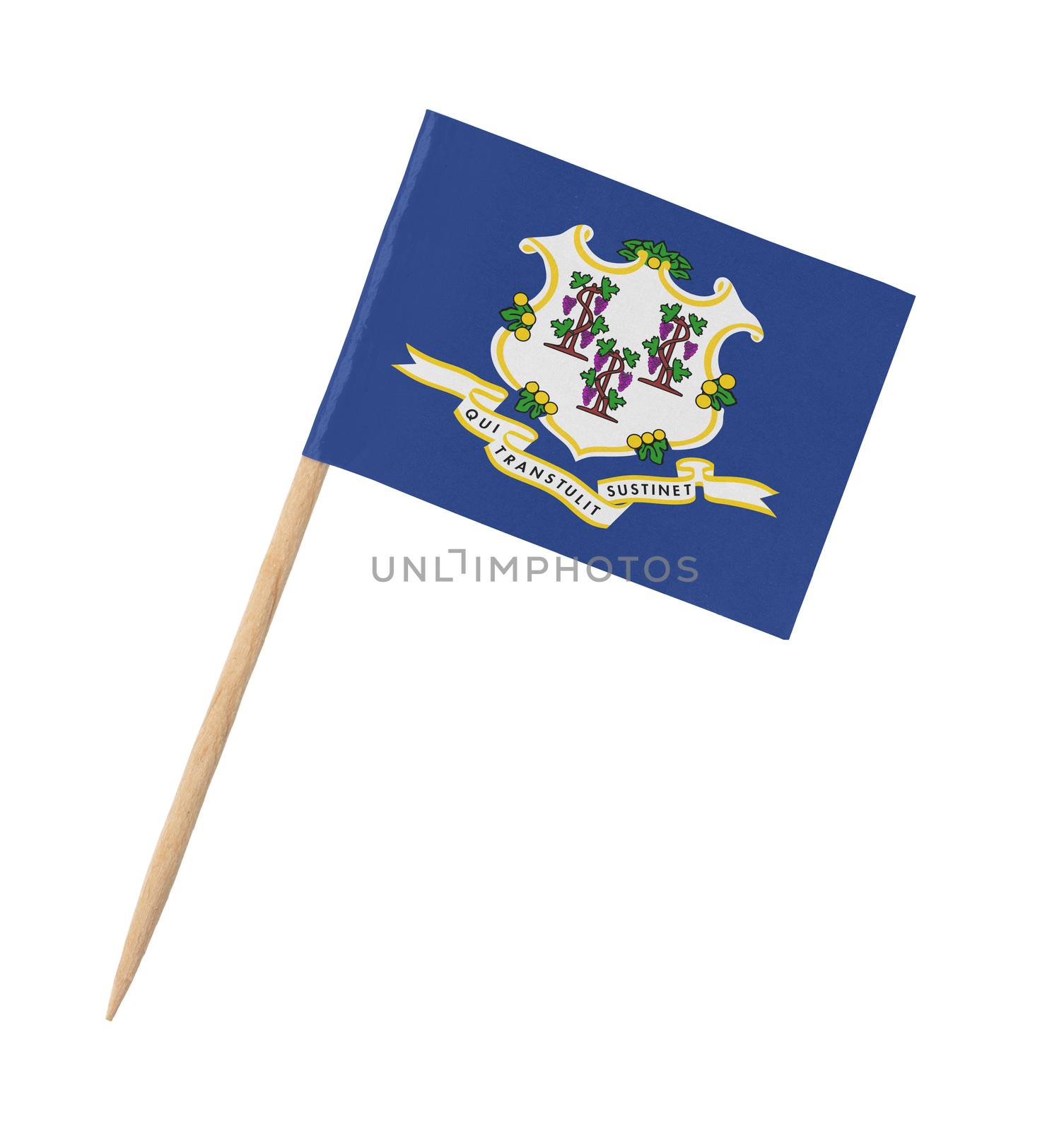 Small paper US-state flag on wooden stick - Connecticut- Isolated on white