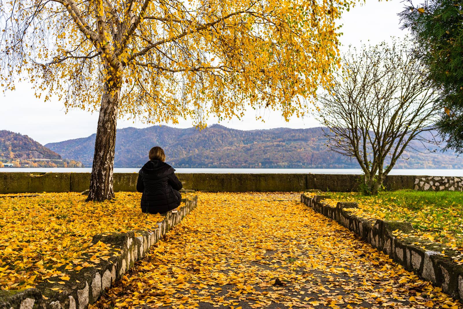 Autumn leaves fallen on standing alone woman on the autumn alley by vladispas