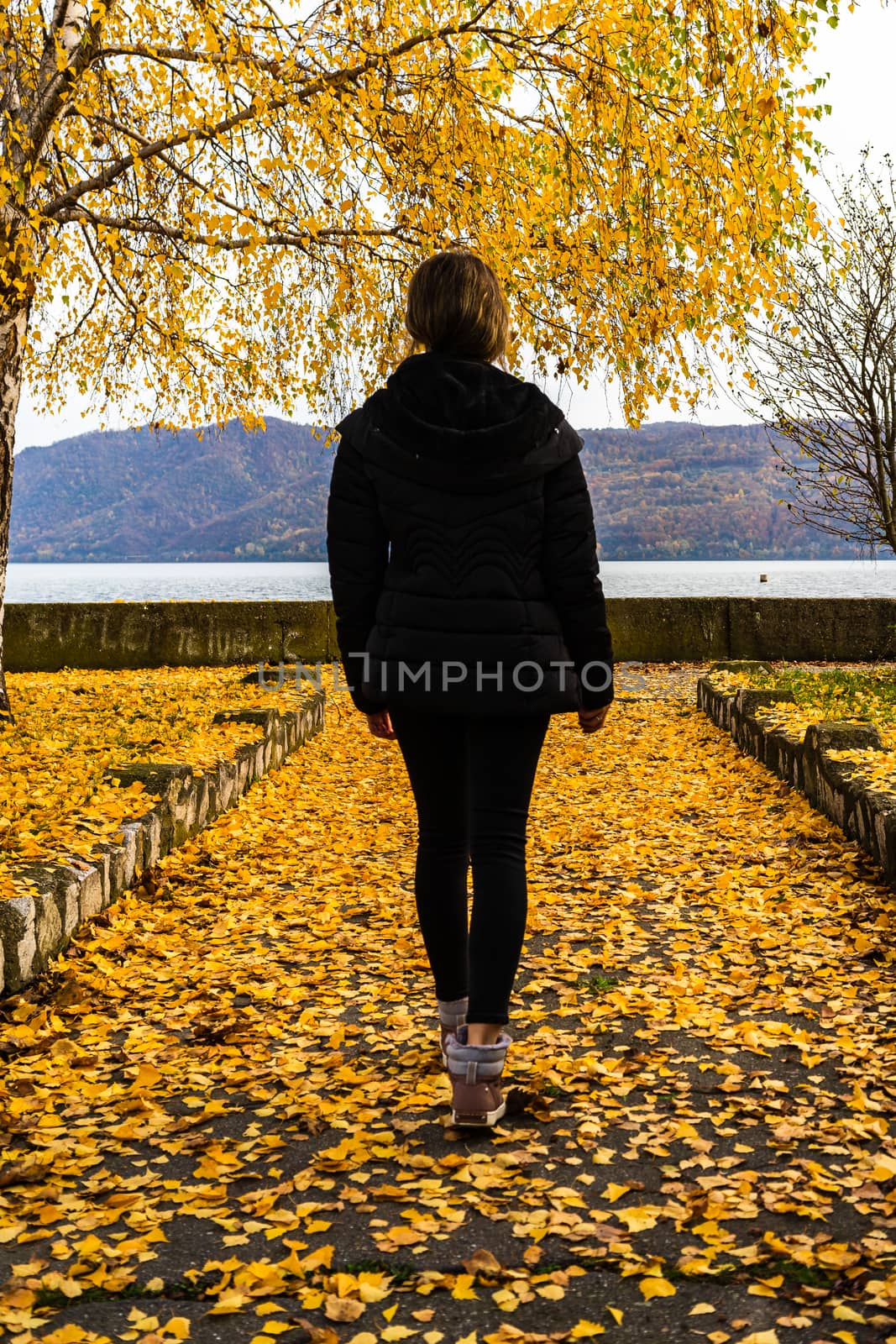  Autumn leaves fallen on alone woman walking on the autumn alley by vladispas