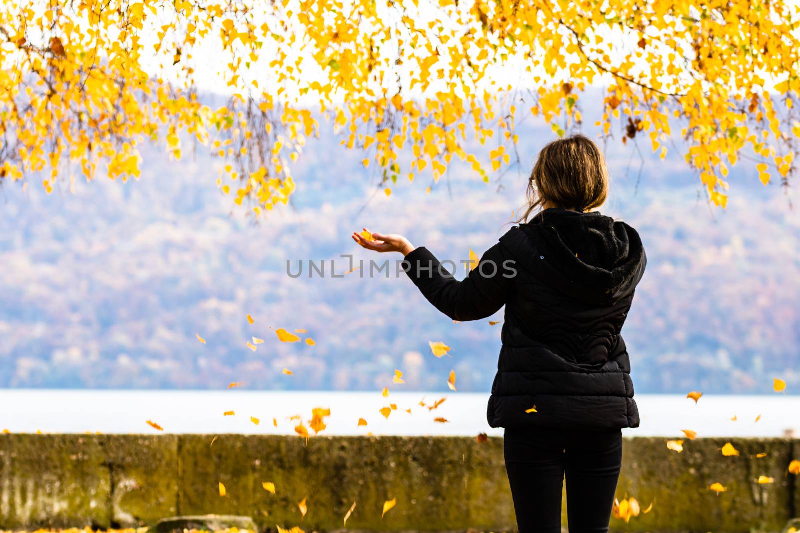 Back view of alone woman enjoying autumn, throwing fallen leaves on autumn alley. Autumn landscape, orange foliage in a park in Orsova, Romania, 2020