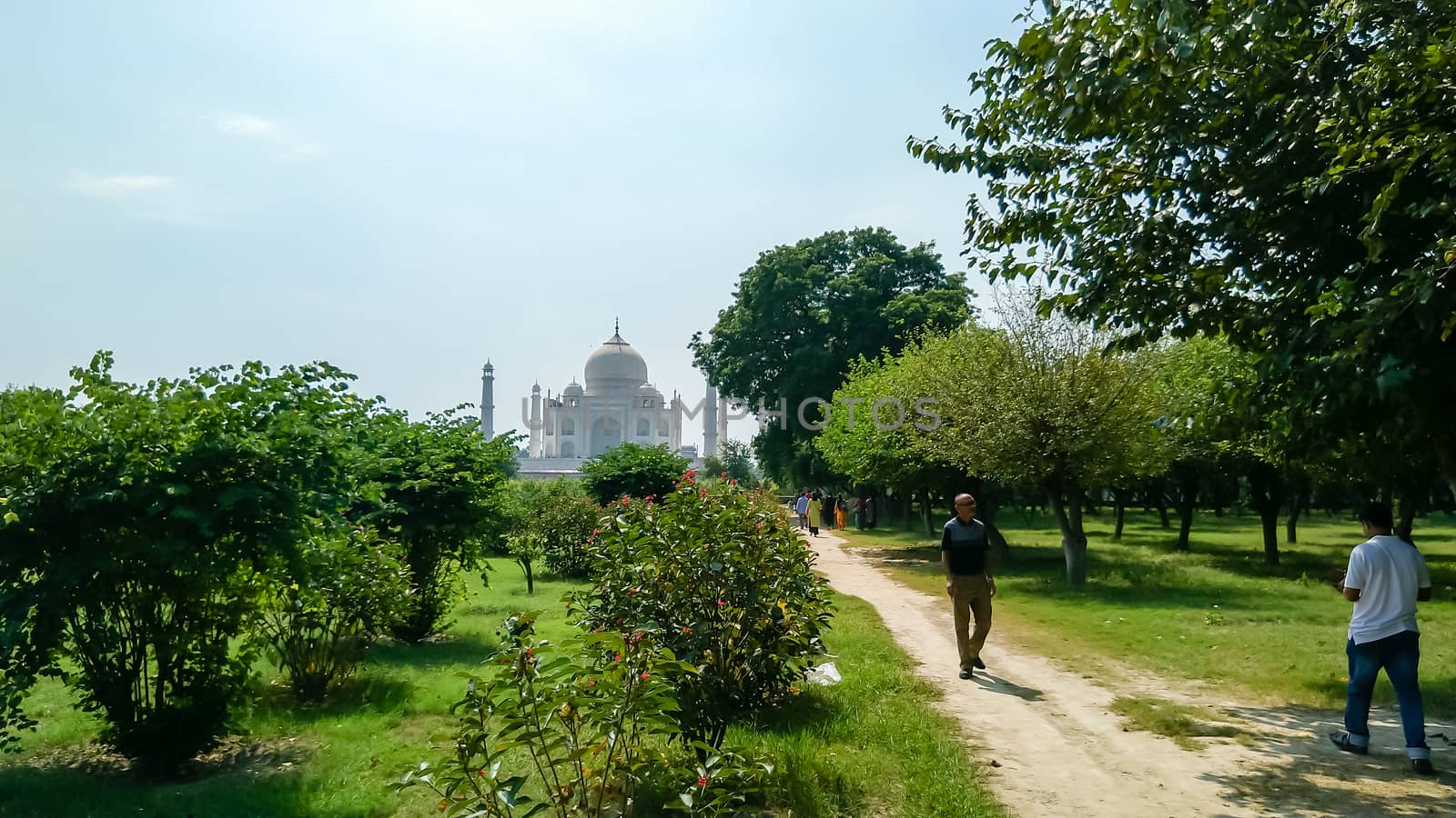 The Taj Mahal seven wonders of the world. A different view of Taj Maha from far distant with lush greeneries in front. Photography from Agra Fort, South Asia Pac India. August 15 2019