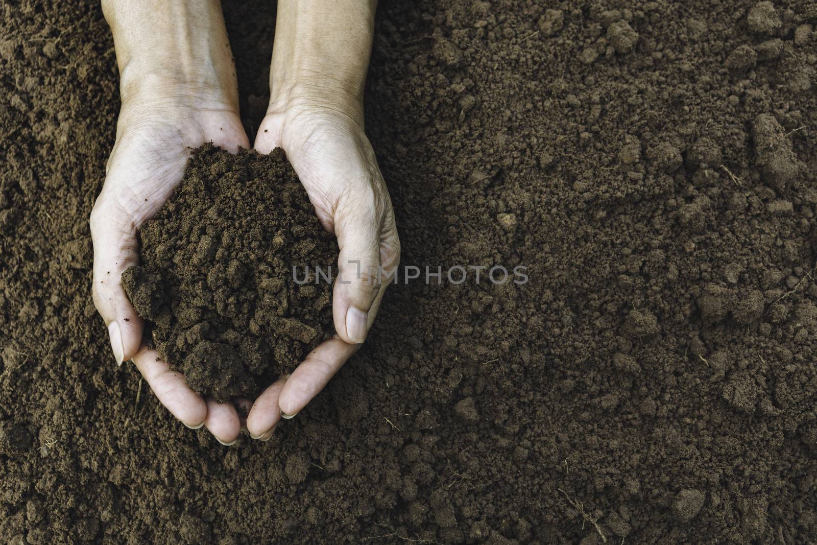 Hand of male holding soil in the hands for planting with copy space for insert text.