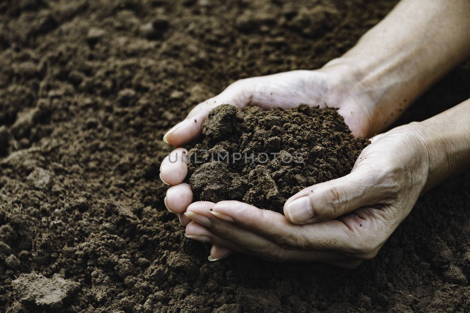 Hand of male holding soil in the hands for planting with copy sp by kirisa99