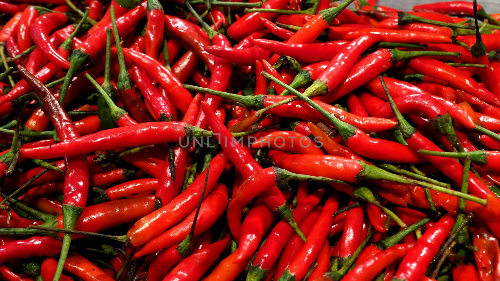 Many colorful hot spicy organic chilli  by gnepphoto