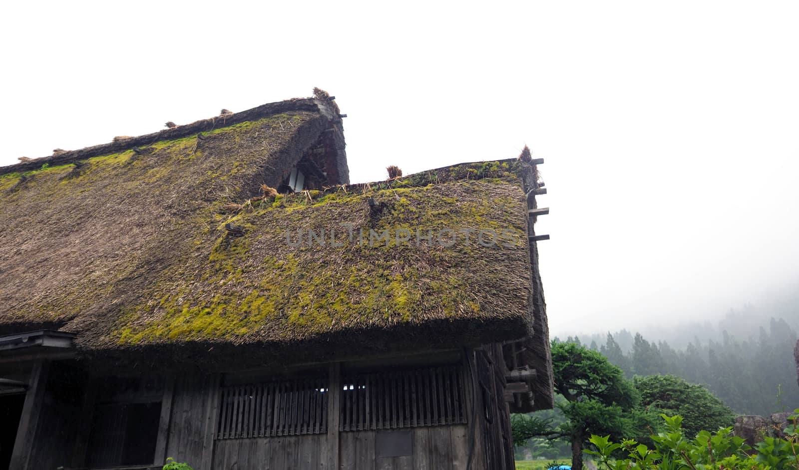 Shirakawa-go village in the rainy day by gnepphoto