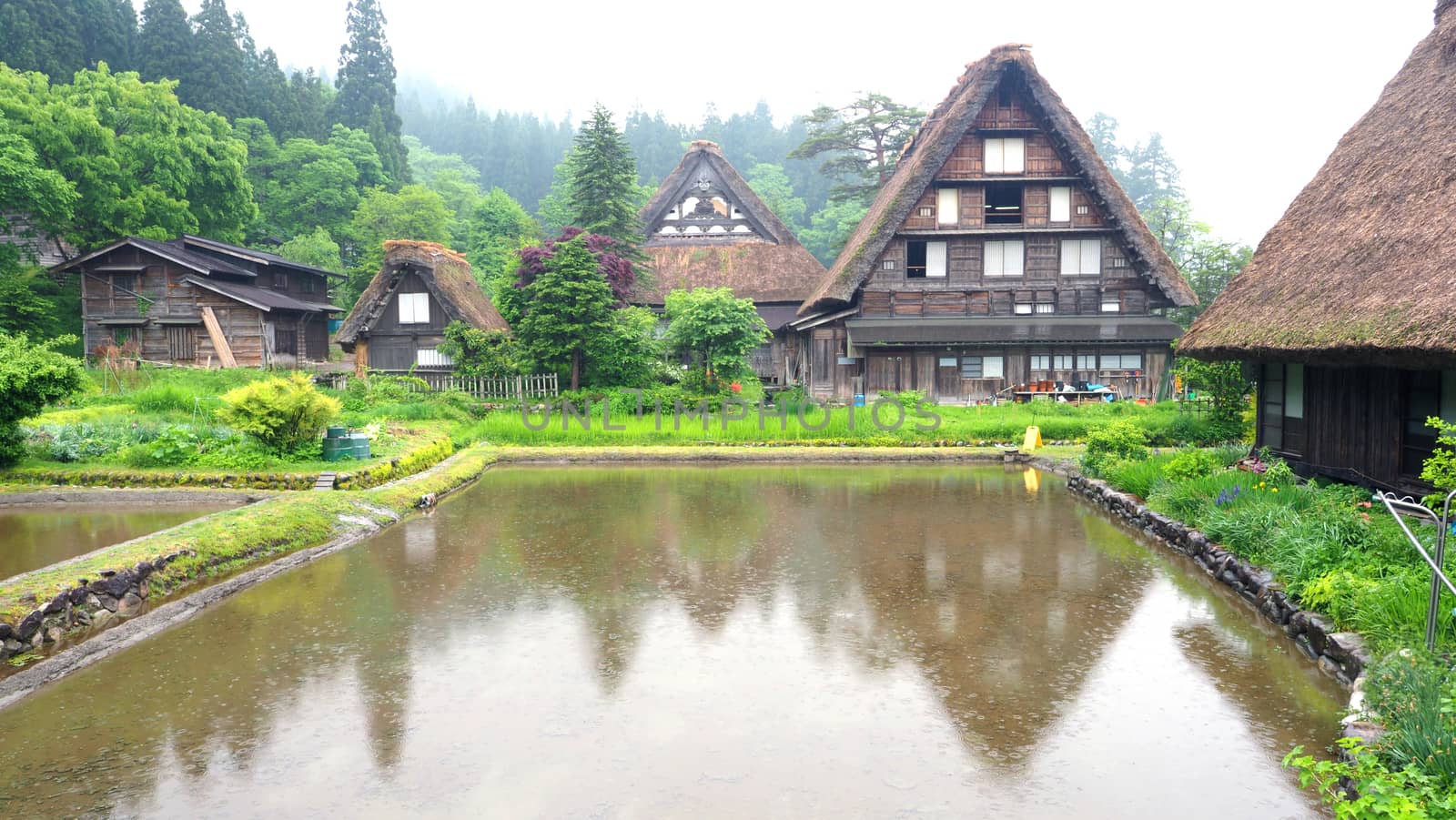 Shirakawa-go village in the rainy day and old vintage style house in Japan.