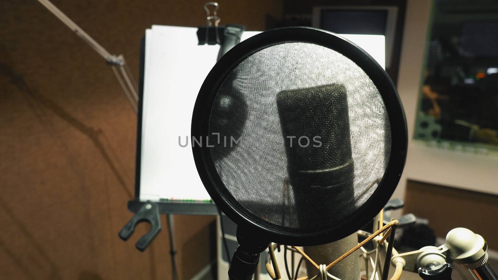 Microphone with pop filter and shock mount by gnepphoto