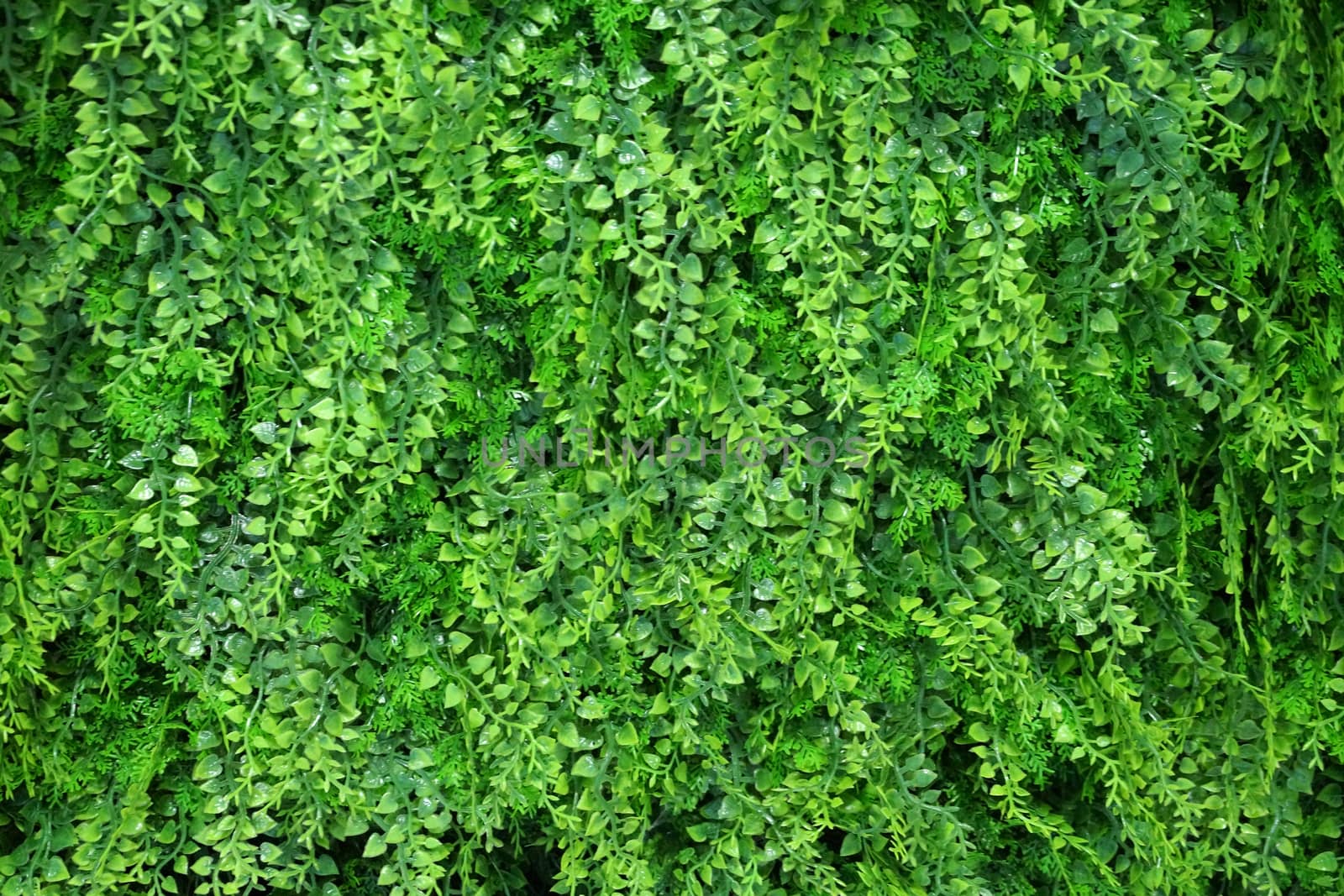 wall made of artificial green plants, artificial landscaping in the interior.