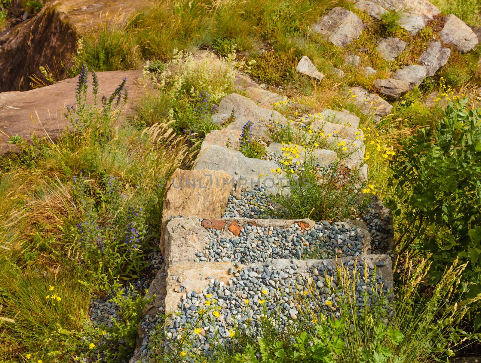 a stone ladder surrounded by vegetation and wild flowers and covered by pebbles by moorea