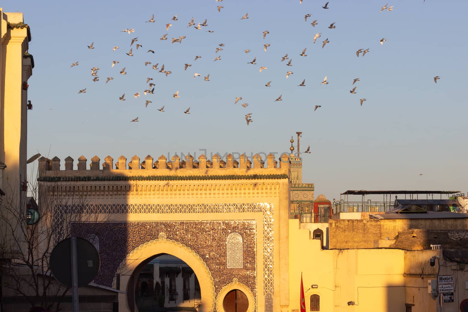 Bab Bou Jeloud gate (Blue Gate) - Fez, Morocco sunset with pigeons flying above against a warm blue sky.. High quality photo