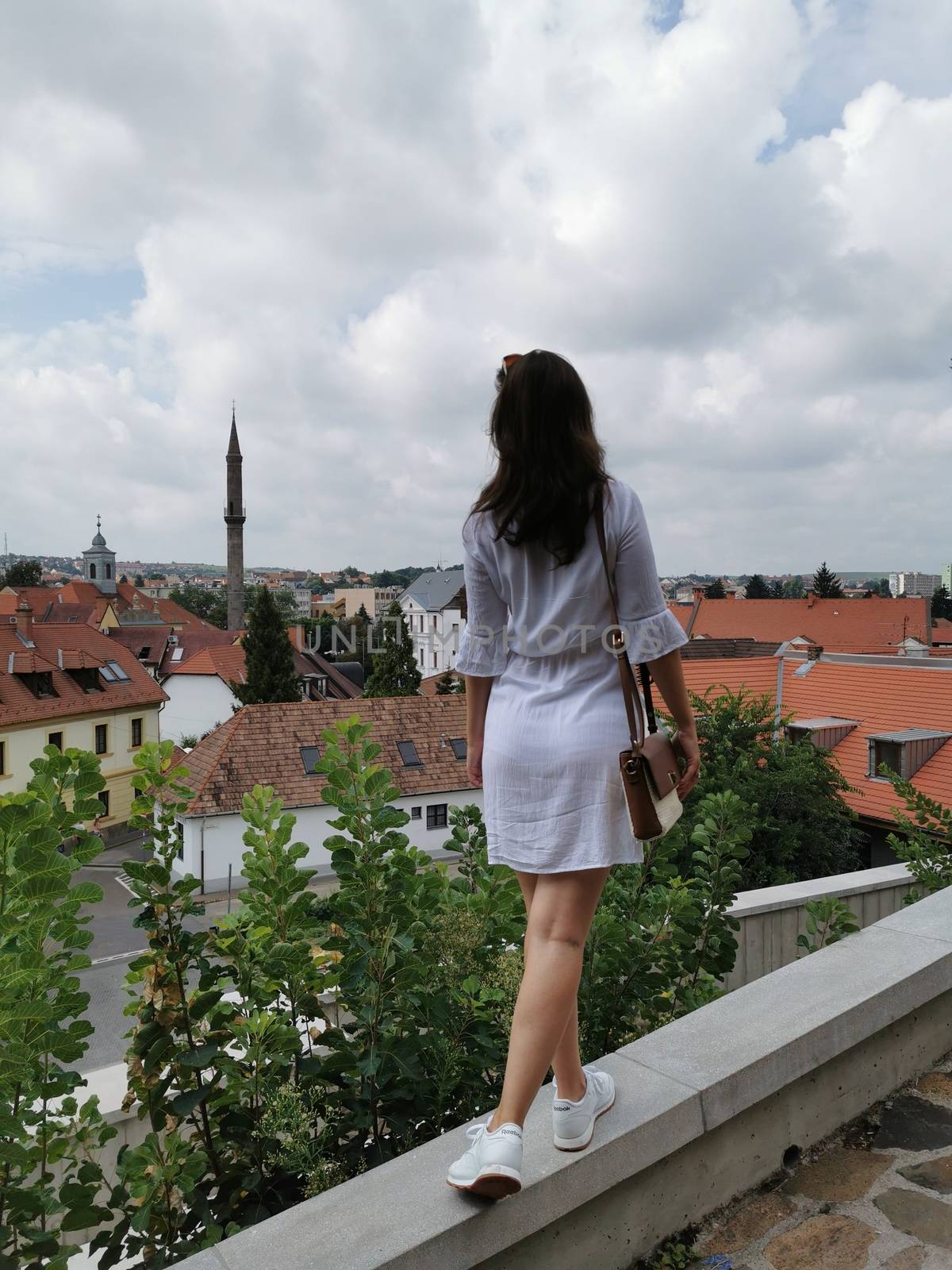 The girl from the Castle of Eger looks at the city High quality photo