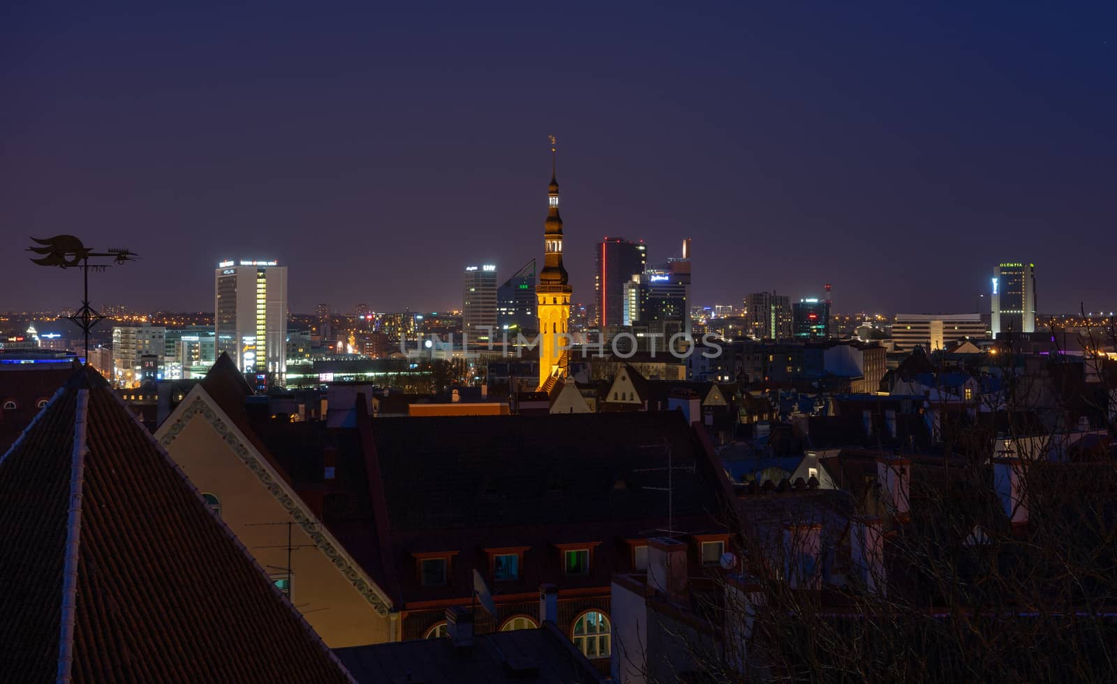 21 April 2018 Tallinn, Estonia. View of the Old town from the observation deck at night