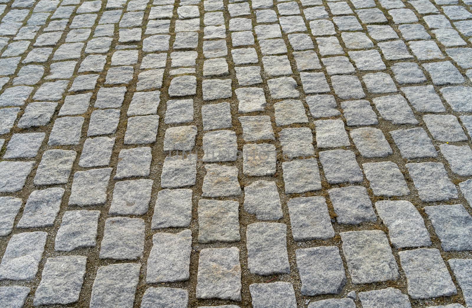 Paving stones of the old square by fifg