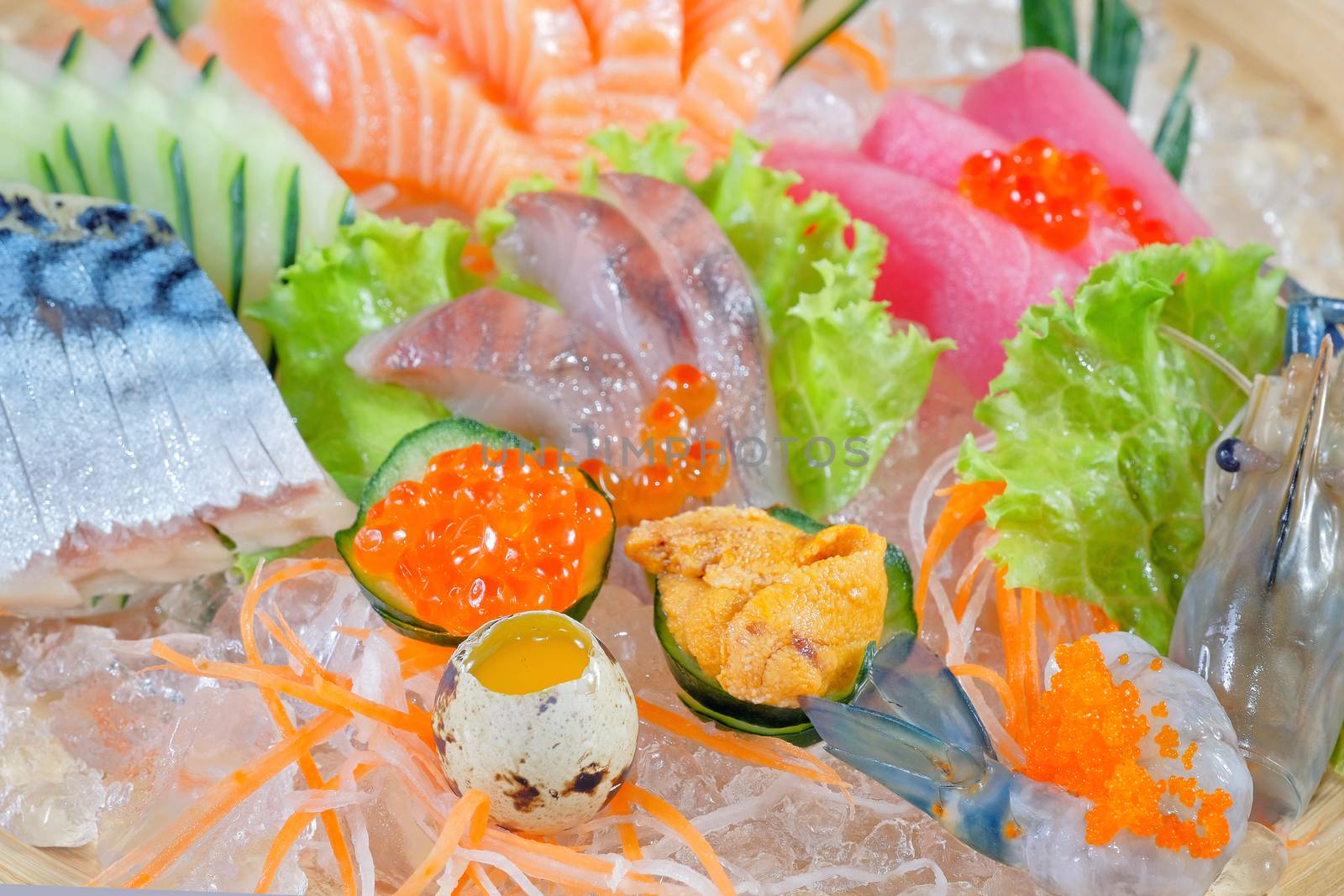 Mixed sashimi - japanese food style on white background by Surasak