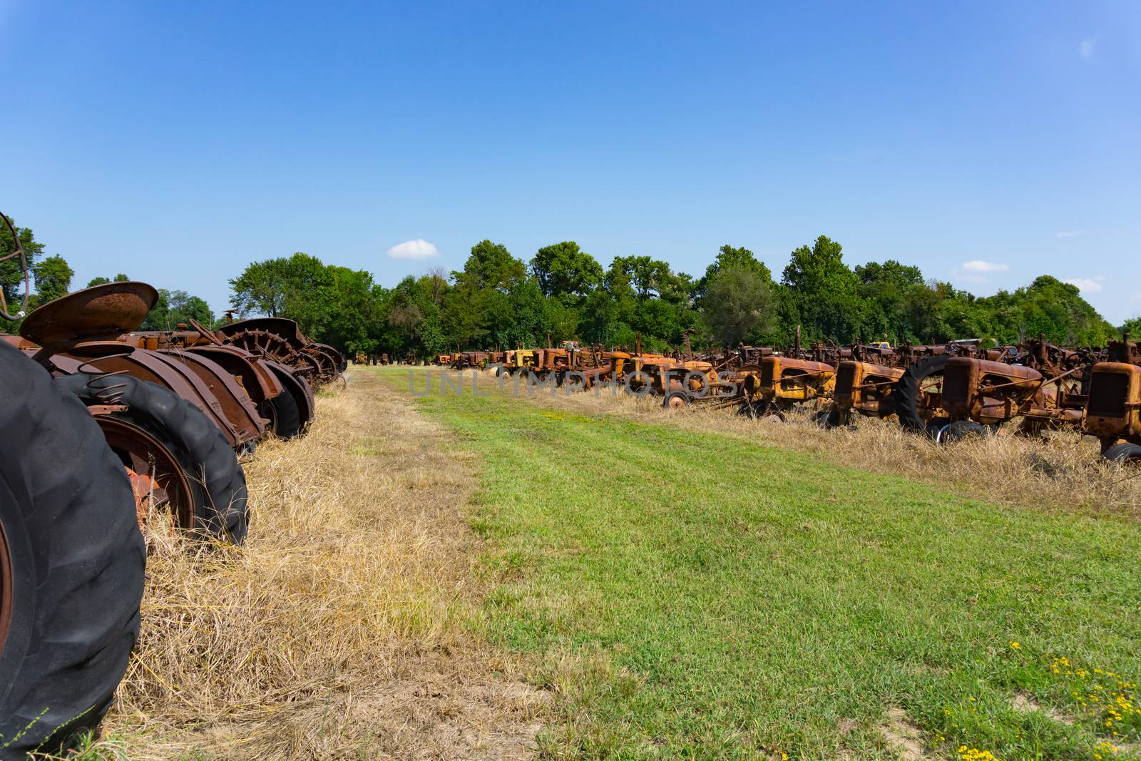 Old equipment and machinery and dead tractors lined up in field.