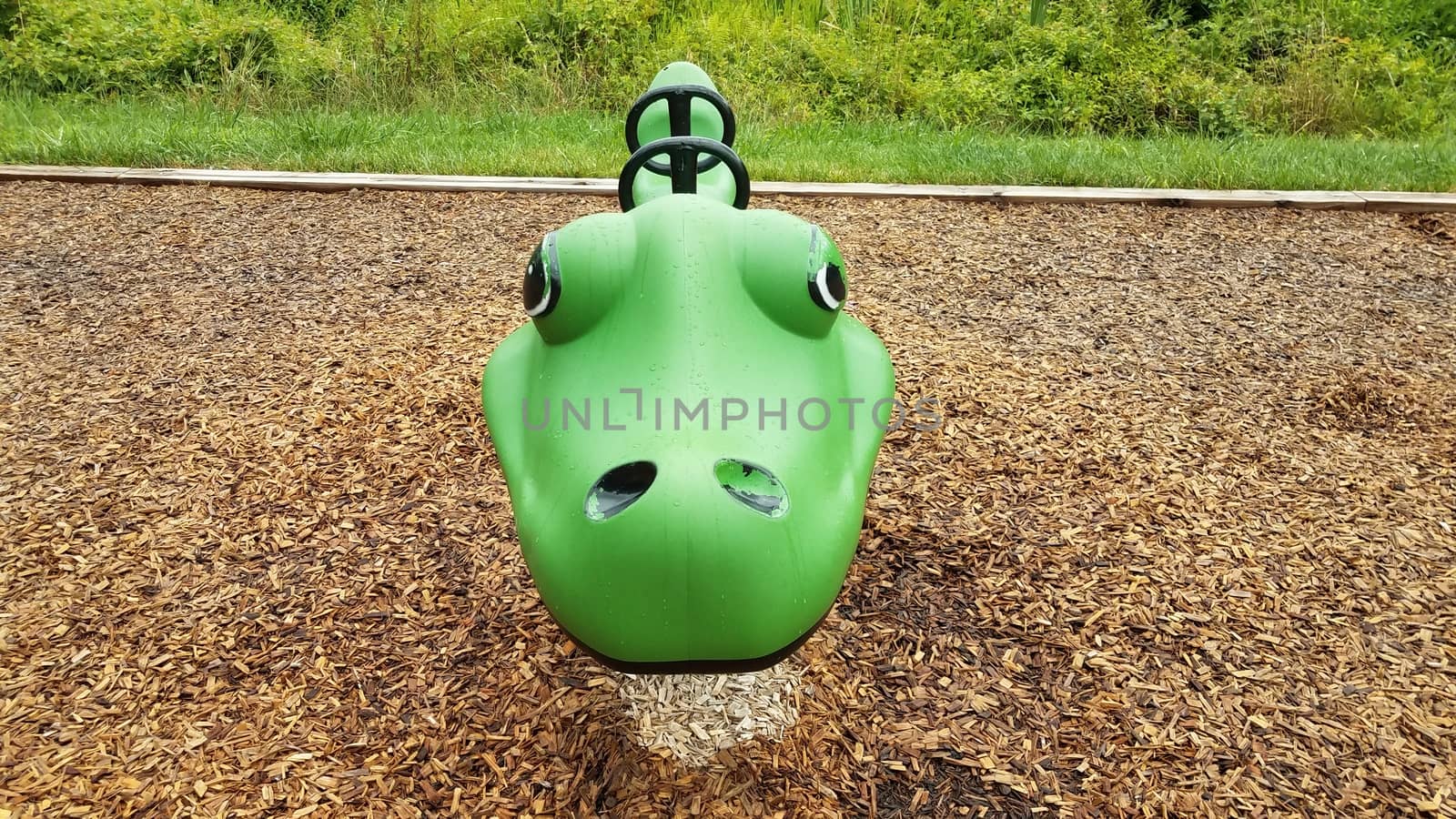 wet green playground equipment or ride at park by stockphotofan1